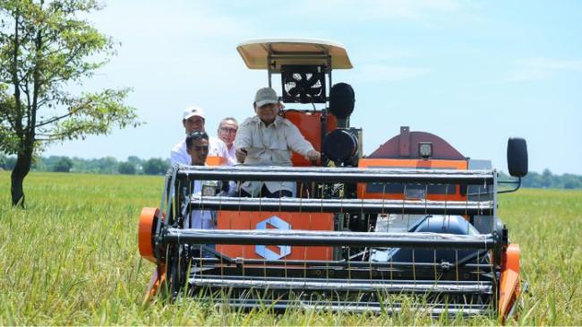 Pakar Pangan Menilai Harga Gabah di Era Presiden Prabowo Beri Keuntungan Bagi Petani