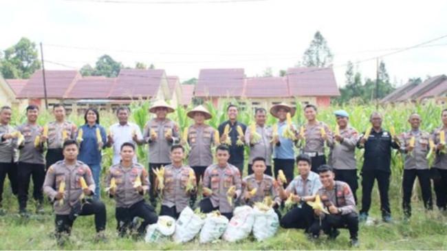 Polres Barito Selatan Panenn 500 Kg Jagung, Hasilnya Dibagikan ke Warga