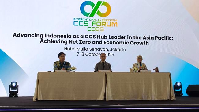 Pemerintah Siapkan Regulasi untuk Gaet Investasi Sektor Carbon Capture and Storage