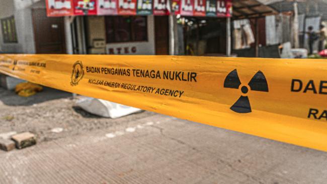 DPR: Pemerintah Harus Cepat Tangani Kasus Kontaminasi Radioaktif Udang Ekspor