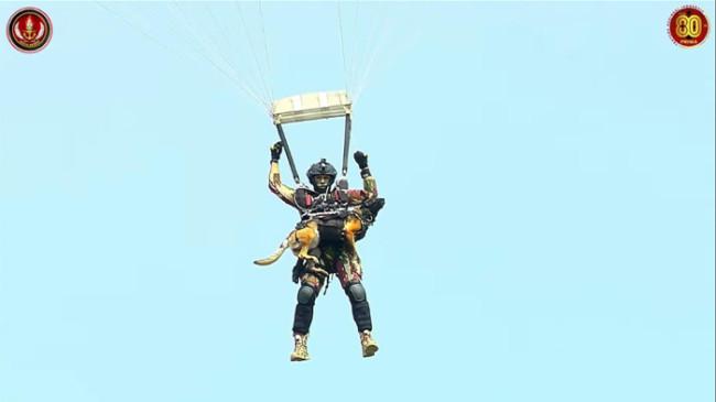 80 Penerjun Militer Hiasi Langit Monas di Puncak HUT Ke-80 TNI, Sembari Bawa Anjing Hingga Bazoka