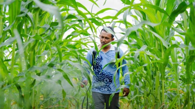 CK dan Balai Besar Penelitian Pertanian Binuang Aplikasikan Teknologi Pertanian Ramah Lingkungan