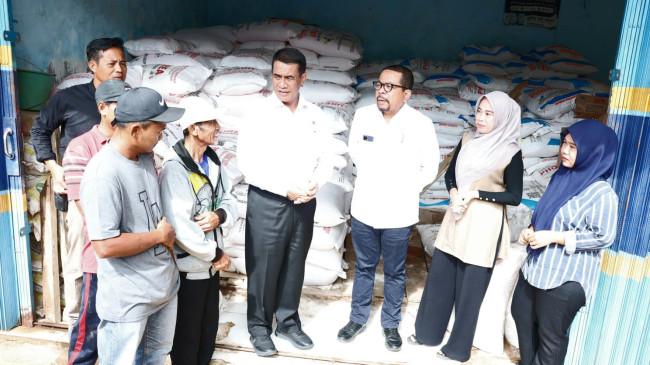 Petani Lampung Bersyukur, Harga Pupuk Turun 20 Persen Sesuai Arahan Presiden