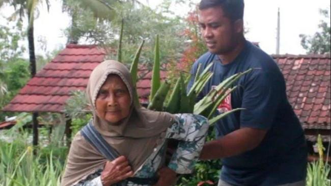 Gerak Kecil Aloe Liquid dari Gunungkidul Mengubah Banyak Hal: Kesehatan, Pendidikan, Keuangan