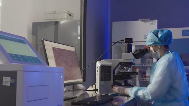 Plak Gigi Masih Jadi Masalah Serius di Indonesia, Begini Cara Mudah Mengatasinya dari Rumah