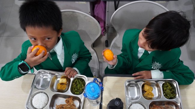 YLKI Dorong Pemerintah Hentikan Sementara Semua Program MBG Demi Adanya Evaluasi Menyeluruh
