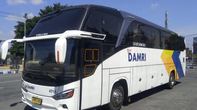 Damri Tebar Diskon Tiket untuk Sejumlah Rute AKAP, Cek Syarat dan Cara Klaimnya di Sini