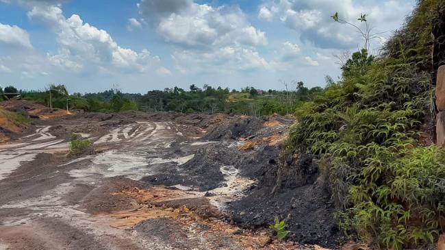 Tambang Batu Bara dan Perambahan Hutan Ilegal di Kawasan IKN Terungkap