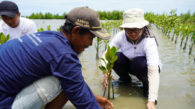 Cegah Abrasi, 2.000 Batang Mangrove Ditanam di Pesisir Tanjung Pakis Karawang