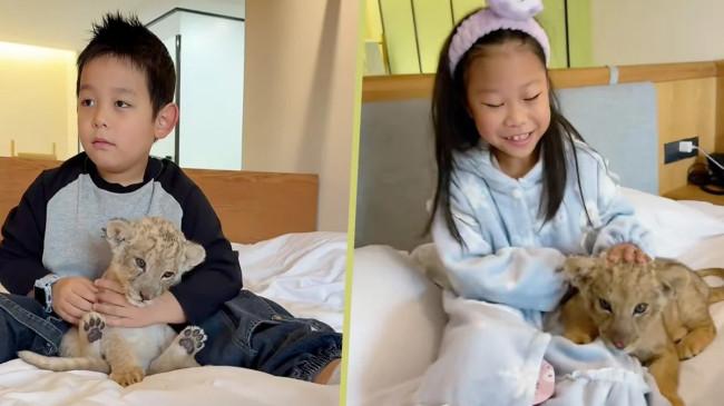 Wake-Up Call Ekstrem, Hotel di Jiangsu Cina Gunakan Anak Singa untuk Bangunkan Tamu