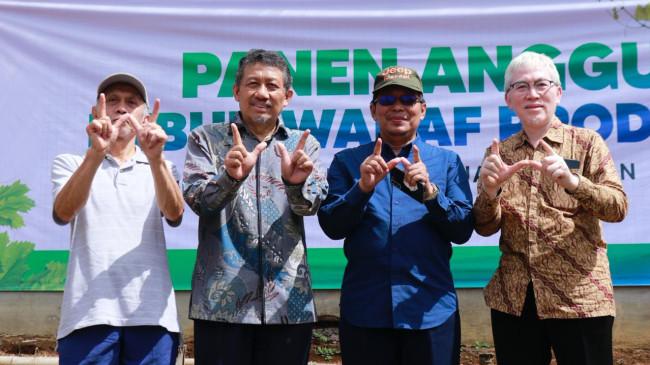 Panen Perdana Anggur di Ciburial Bandung Jadi Contoh Pengelolaan Wakaf Modern