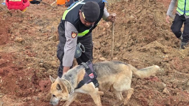 Anjing Pelacak K9 Polri Diterjunkan Cari Korban Longsor Cilacap