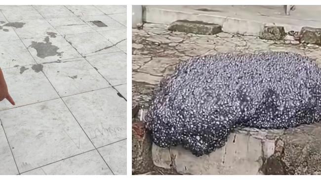 Ancaman Polusi: Setelah Gumpalan Awan Hitam di Subang, Kini Muncul Debu Hitam di Bekasi