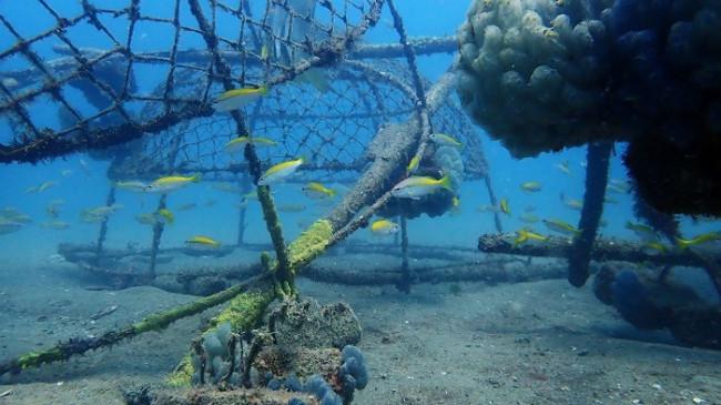 Jaga Ekosistem Laut, Taman Karang Buatan Ditenggelamkan Perairan Pulau Putri Bangka Belitung