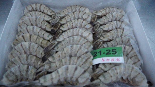 Udang dan Cakalang Mendominasi Ekspor Perikanan Indonesia