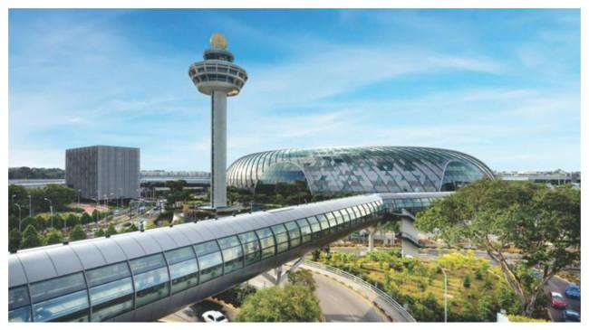 10 Hal Biasa tapi Dilarang di Negara Lain: Singapura Tak Izinkan Permen Karet