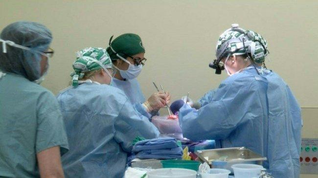Menkes Instruksikan Aturan tentang Donor Organ Terbit Sebelum Akhir 2025