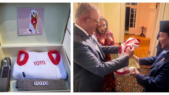 Mengenal Apa Itu Animal Diplomacy, Gestur Prabowo yang Beri Hadiah Hewan Peliharaan PM Australia