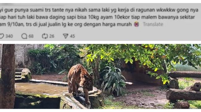 TMR Ragunan Bantah Isu Pakan Dibawa Pulang oleh Perawat Satwa, Pemilik Akun Threads Minta Maaf