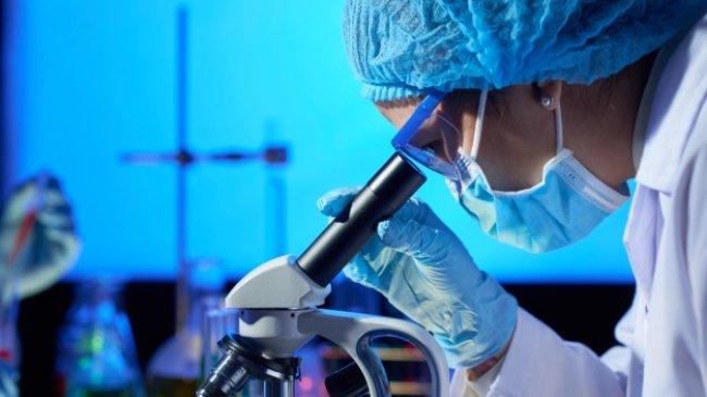 Kemendiktisaintek Bakal Luncurkan Program Living Lab, Tak Sama dengan KKN