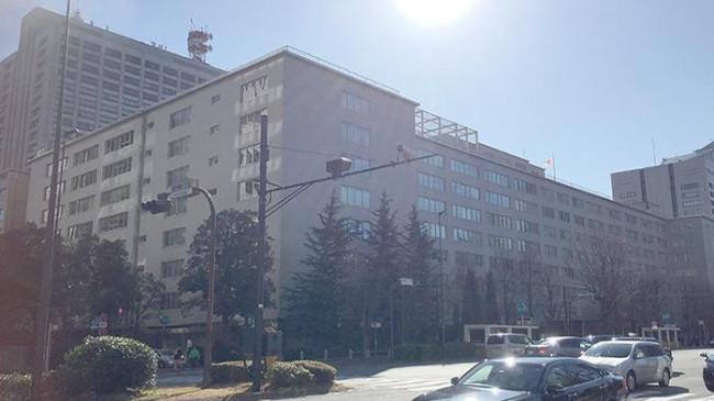 Cina Tutup Lagi Impor Perikanan Jepang, Industri Lokal Alihkan Pasar