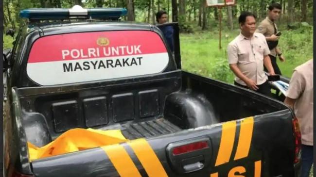 Pria Madiun Temukan Kerangka Manusia  Saat Cari Kroto di Hutan