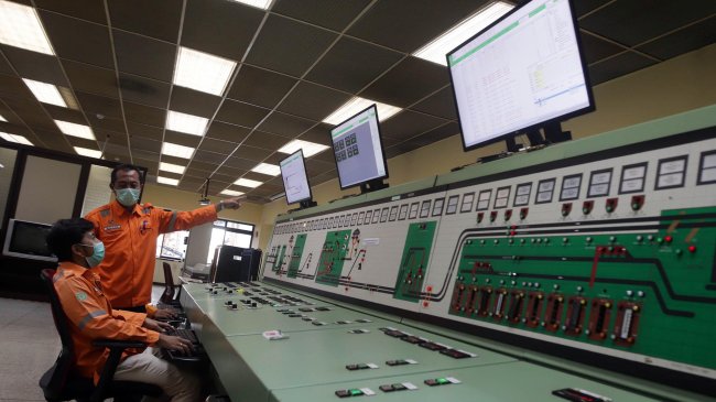 47 Pembangkit PLTU di Indonesia Terapkan Cofiring Biomassa