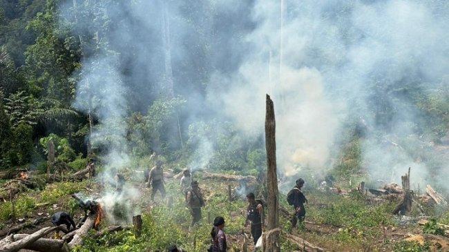Modus Peredaran Ganja di Aceh: Dari Ladang Dihanyutkan Lewat Aliran Sungai