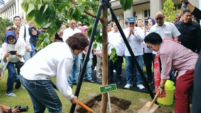 Tanam Pohon Bodhi di UGM, Megawati Soekarnoputri Dorong Riset dan Inovasi Anak Bangsa