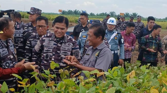 Dukung Ketahanan Pangan, Kepala Staf Angkatan Laut Panen Kedelai di Lampung Utara