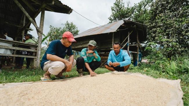 Perkumpulan Telapak Observasi di Pulau Obi Maluku Utara, Amati Fasilitas Kesehatan Hingga Pendidikan
