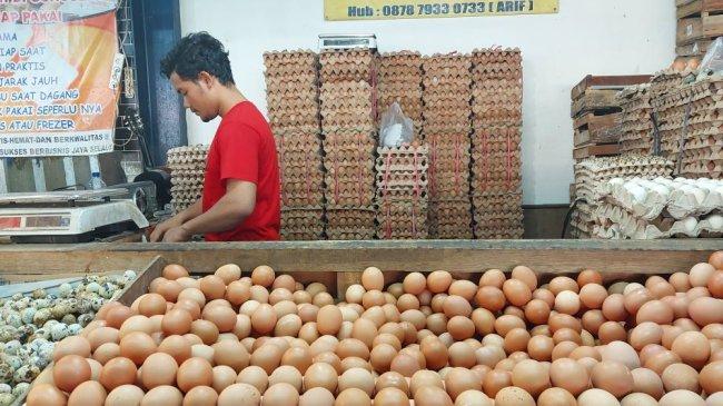 BPS: Program Makan Bergizi Gratis Dorong Kenaikan Harga Telur dan Ayam Ras 