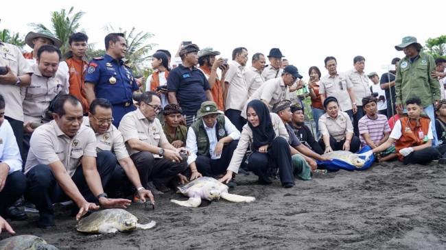 Penyu Terancam Punah, Pemerintah Minta Masyarakat Sama-sama Jaga Konservasi
