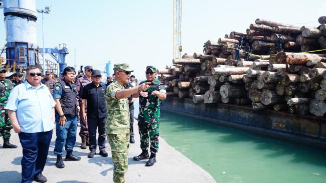 Satgas PKH Sita 4.160 Kubik Kayu Ilegal Hasil Pembalakan Liar di Sipora, Negara Rugi Rp 198 Miliar