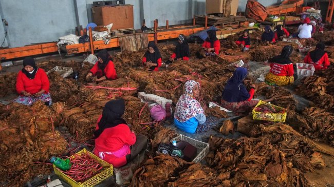 Penerimaan Cukai Rokok Merosot 2,9 Persen Akibat Penurunan Produksi di Pabrik