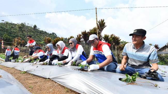 Lewat Tanggung Jawab Sosial Lingkungan, Pertamina Beri Edukasi Keberlanjutan Energi