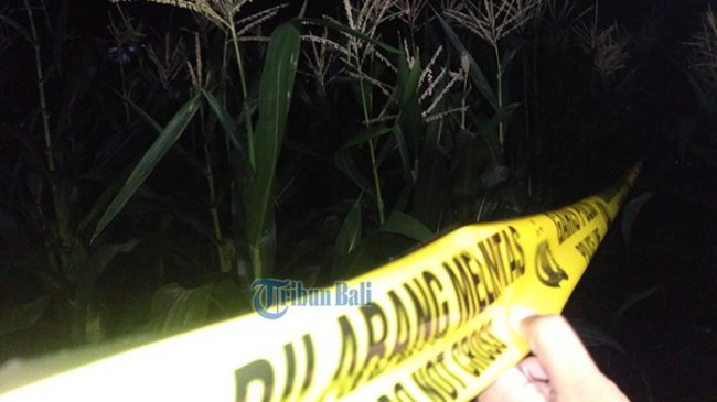 Delta Spa Diduga Pekerjakan Terapis di Bawah Umur, Jasadnya Terbujur di Lahan Kosong Pejaten
