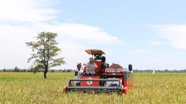 Produksi Beras Melimpah, Kepuasan Publik terhadap Kementan Tembus 71,5 Persen
