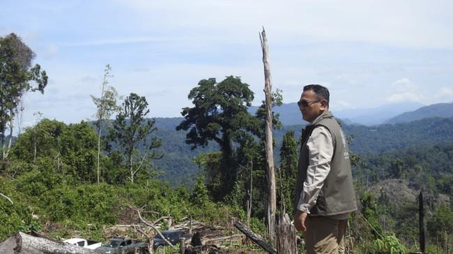 Cek Perambahan Koridor Gajah di Seblat, Wamenhut: Tak Ada Toleransi Bagi Perusak Hutan