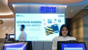 0110-bri.jpg