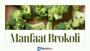 14-Manfaat-Brokoli-untuk-Kesehatan-Tubuh-yang-Jarang-Diketahui.jpg