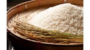 182-Juta-Keluarga-akan-Terima-Bansos-Beras-10-Kg-Per-Bulan-Ini-Link-Cek-Nama-Penerima.jpg