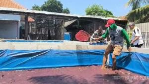 Aiptu-Yustar-Sukses-Budidaya-Ikan-Lele-dengan-Manfaatkan-Lahan-Pekarangan.jpg