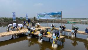 Aksi-tanam-215200-bibit-mangrove-di-sembilan-pesisir-Indonesia.jpg