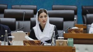 Anggota-Komisi-VII-DPR-RI-dari-Fraksi-PDI-Perjuangan-Novita-Hardini-rapat-kerja-di-DPR.jpg