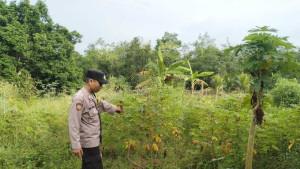 Bripka-Ady-Susilo-Ajak-dan-Dampingi-Warga-Desa-Rimba-Terab-dalam-Pelaksanaan-Program-P2B.jpg