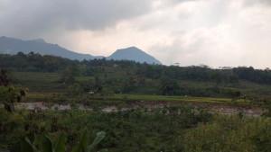 Dua-desa-di-Bogor-dilelang.jpg