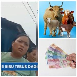 EMAK-EMAK-NEBUS-DAGING-KURBAN-DI-BEKASI.jpg