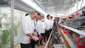 FOTO-TERBARU-Menteri-Koordinator-Bidang-Pangan-Republik-Indonesia-Zulkifli-Hasan.jpg
