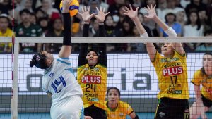 Gresik-Petrokimia-Rebut-Juara-3-Proliga-2025_20250510_194115.jpg